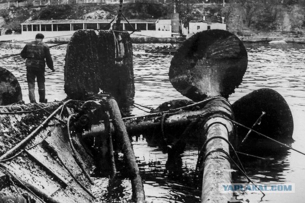 65 лет назад произошла одна из самых страшных морских катастроф в СССР. Кто погубил «Новороссийск»?