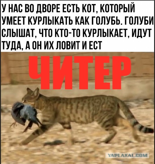 Картинки и мемы для настроения 019