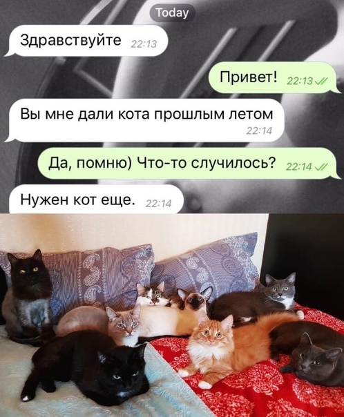 Баянисто-небаянистый юмор 9.04.21