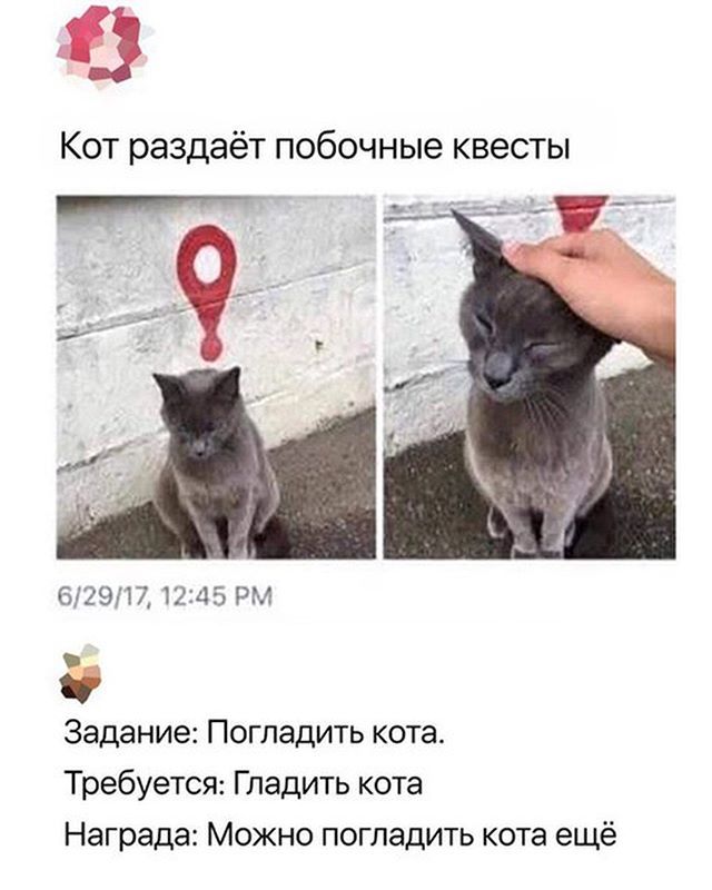 Насохранял