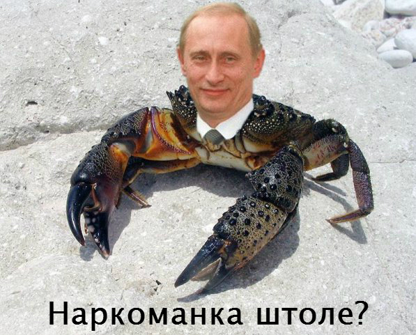 Обращение к админам краба