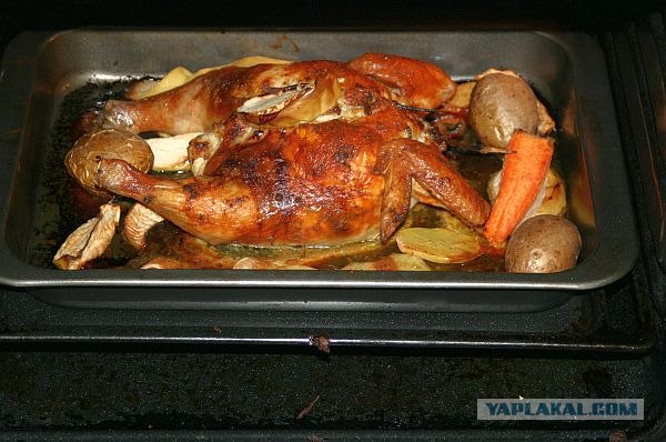 Курочка набитая.