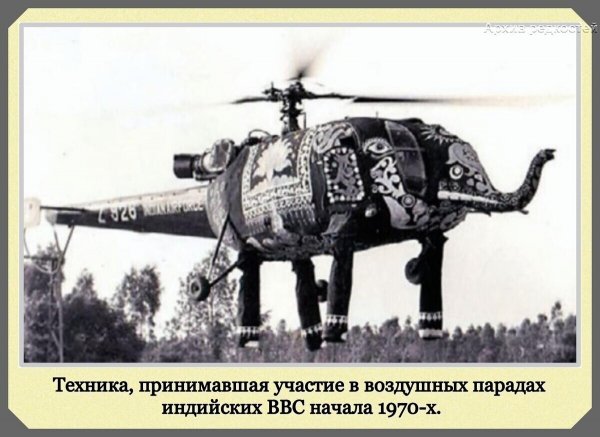 Прикольные и просто красивые картинки 11.08.2021