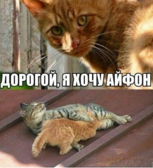 Картинки и мемы, всем отличных выходных