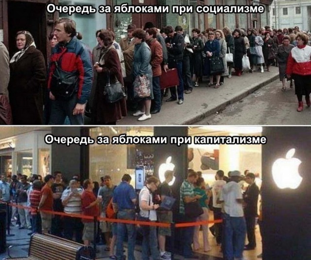 Забавные и веселые картинки