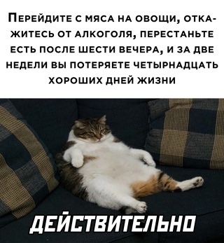 Картинки и мемы, начало праздников