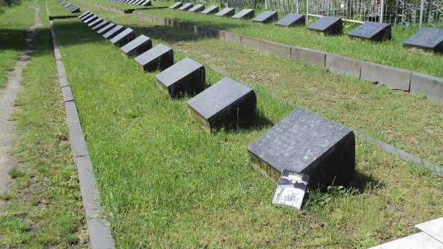 ЯП кругосветка. Этот проект завершился!