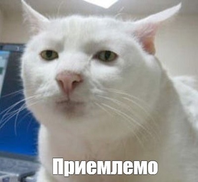 Пятница. И немного слегка пошлых картинок с надписями и без 16+ (10.06)
