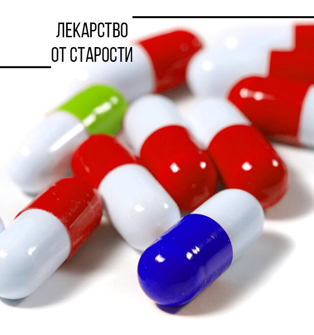 Литнетком