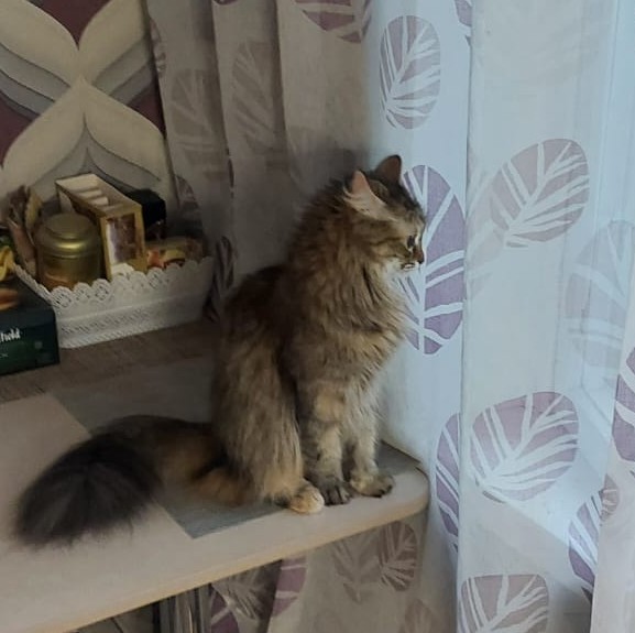 Моя прелесть