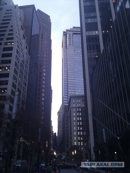 Моя первая поездка в Нью-Йорк и Маями