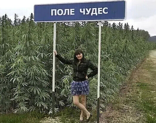 Прикольные и просто красивые картинки 29.11.2022