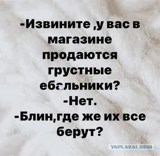 Весёлый полтишок 26.12.2022