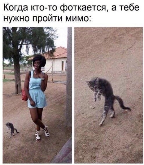 Юмор в картинках и без 12.04