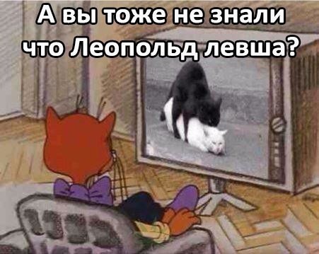Чернила-3