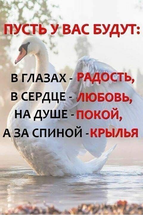 Прикольные и просто красивые картинки 30.06.2023