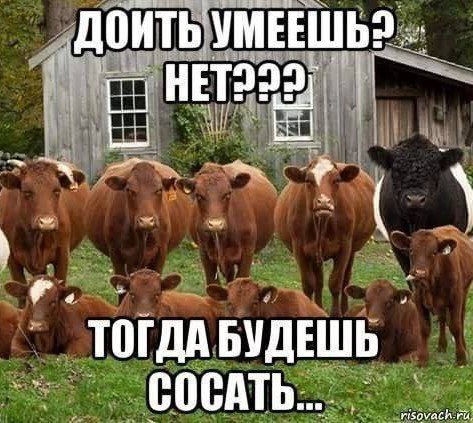 Прикольные и просто красивые картинки 25.08.2023