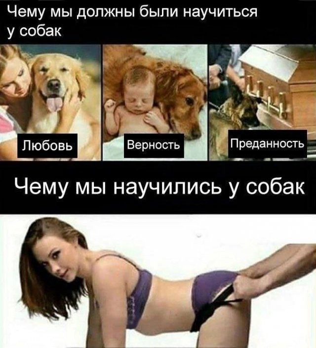 20 картинок