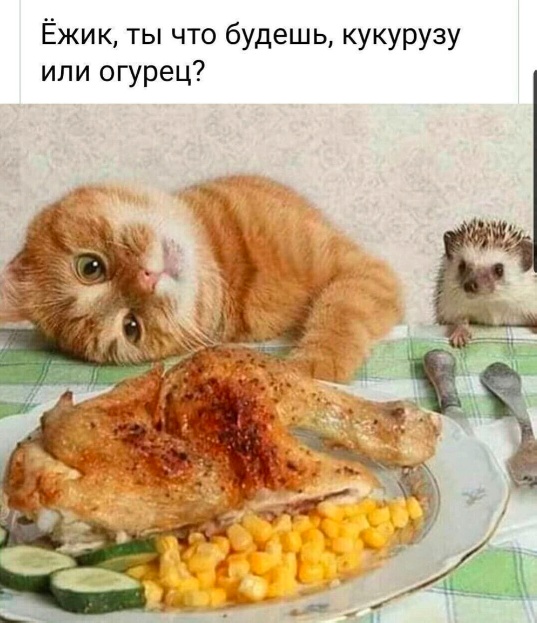 Немного картинок и прочей хреноты Vol. 28