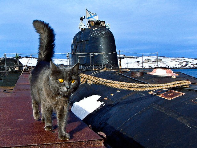Советский и российский подводный флот на фото