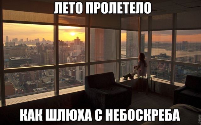 Немного забавных картинок от 01.09.2024