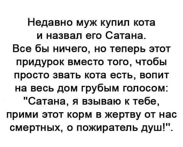 Юмор в картинках и без