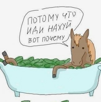 А вот и первые заявления (извинения) пошли