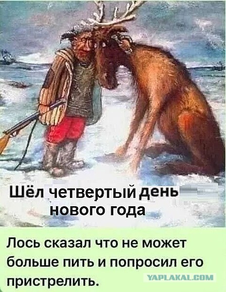 Баяны, очень баяны, но думаю улыбнёт
