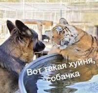 Куда исчез «шеф» из «Бриллиантовой руки»: Донос, арест и ссылка в судьбе Николая Романова
