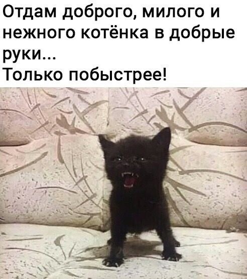 Так себе картинки 20.04.25
