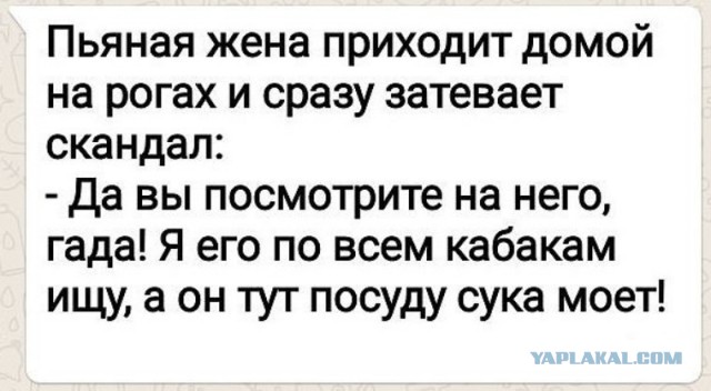 Сегодня отмечается День холостяка