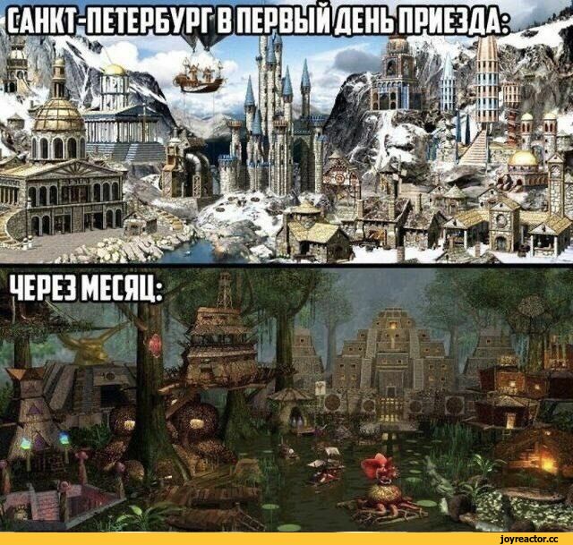 Веселые картинки в понедельник (11.08)