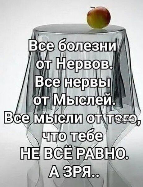 20502749.jpg