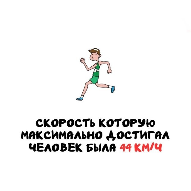 Подборка интересных фактов на все случаи жизни 26.11.25