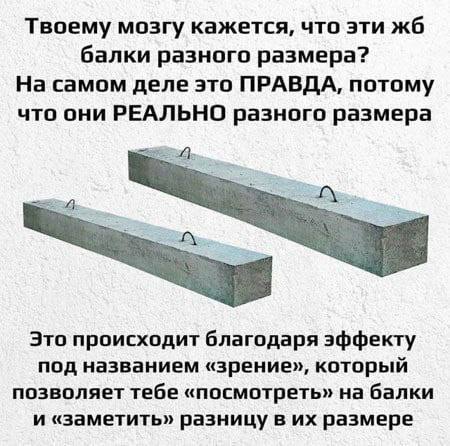 Нуштош. Соотношение четного и бледного (s5e2)
