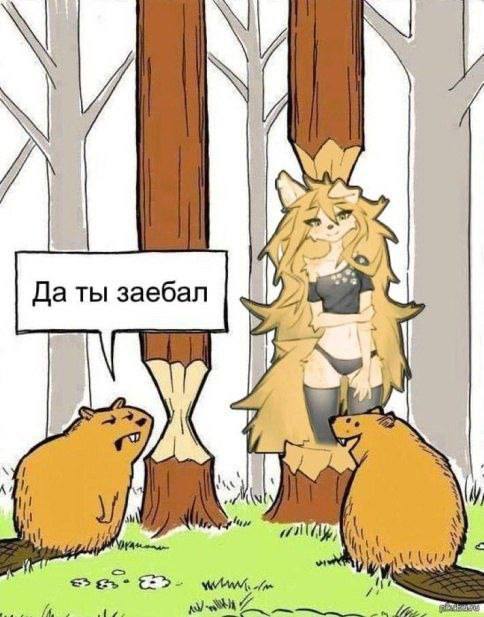 Немного картинок - продолжение 5