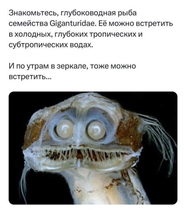 Четверговые картинки