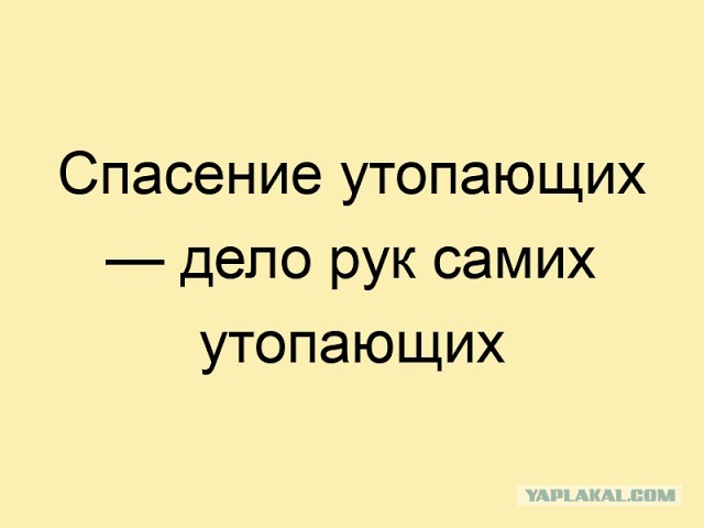 Яркий пример, когда пешеходам пох#й на своё здоровье и жизнь
