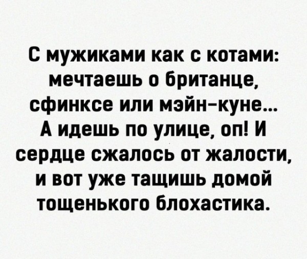 Так себе картинки 31.07.26