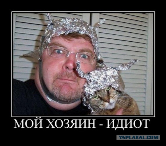 Электростатика и кот
