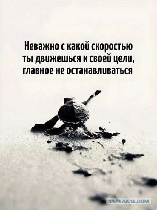Картинки для деградации 286 (разной степени свежести)