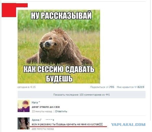 Смешные комментарии из социальных сетей