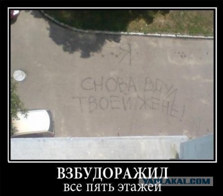 Очередная подборка смешных высказываний