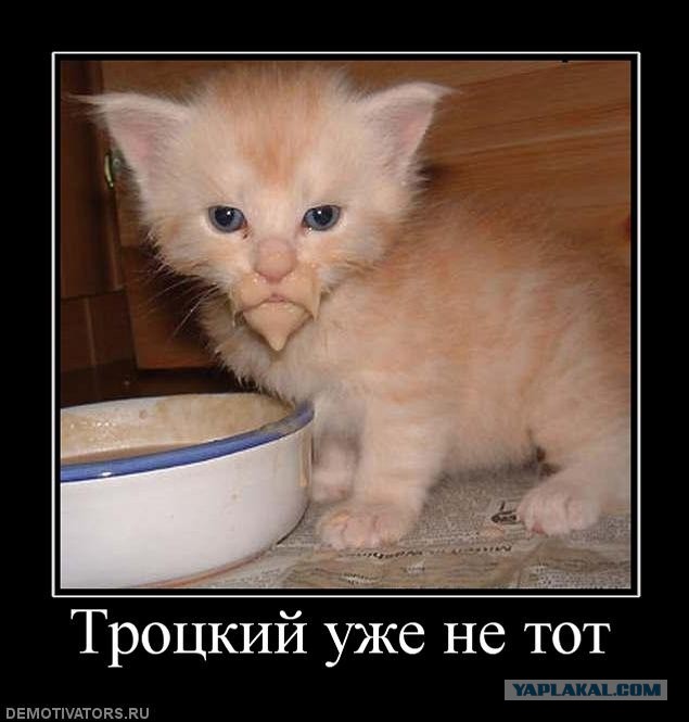Демотиваторы.