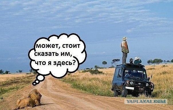 Позитивные картинки