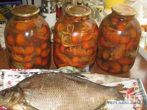 После таких приколов с едой...