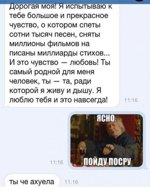 Подборка весёлых картинок