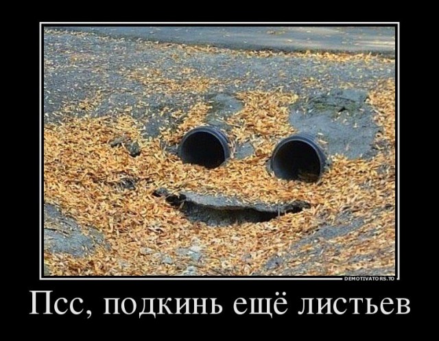 Веселые картинки
