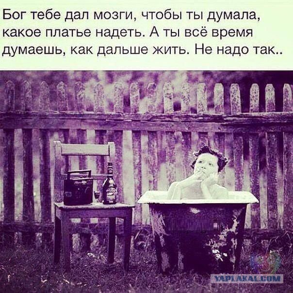 Немного картинок и юмора