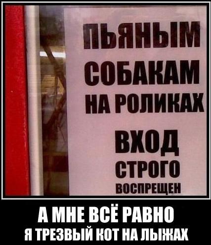 Весёлые картинки